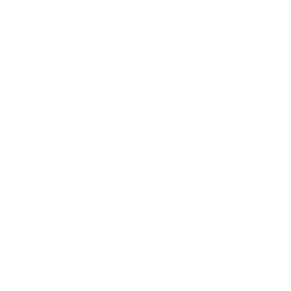 finance icon
